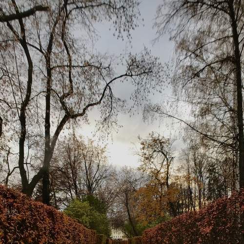 Photo #8190448