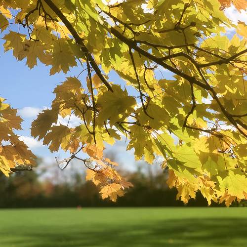Photo #8190455