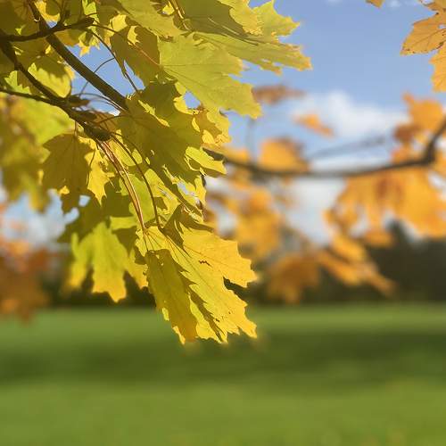 Photo #8190457