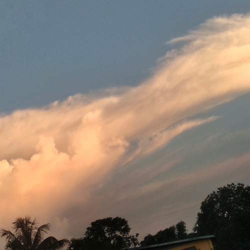 Photo #8190527
