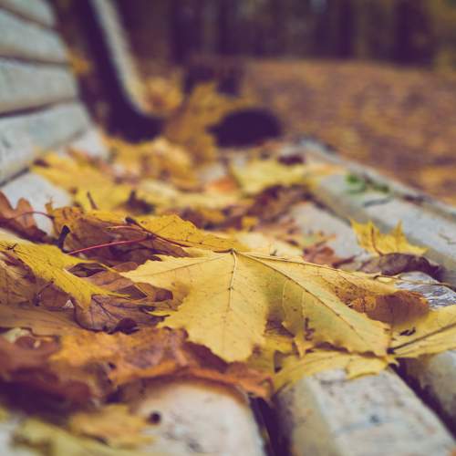 Photo #8190682