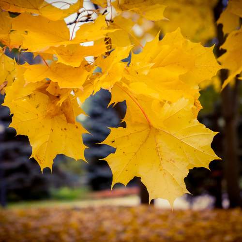 Photo #8190684