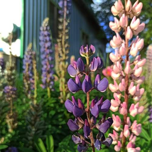 Photo #8190911