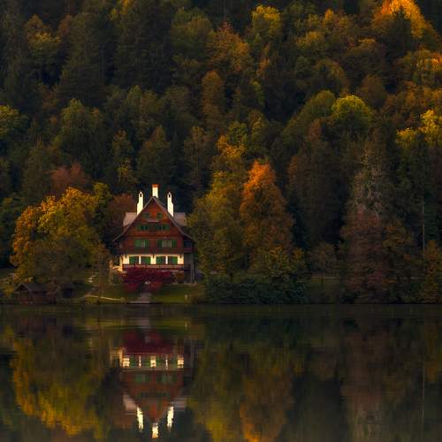 Photo #8191006