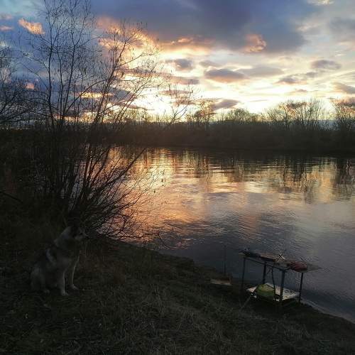 Photo #8191410