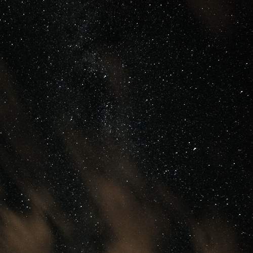 Photo #8191411
