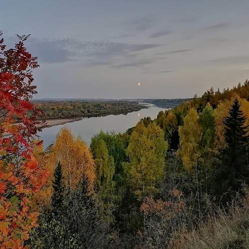 Photo #8191558