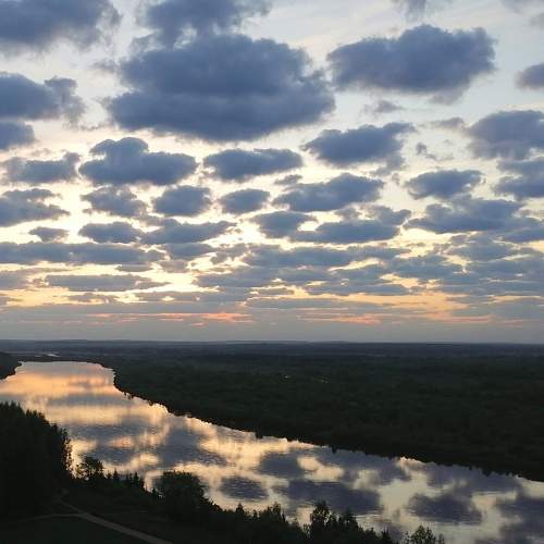 Photo #8191566