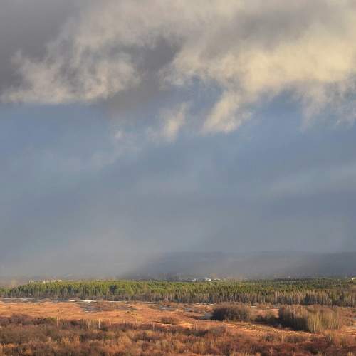 Photo #8191567