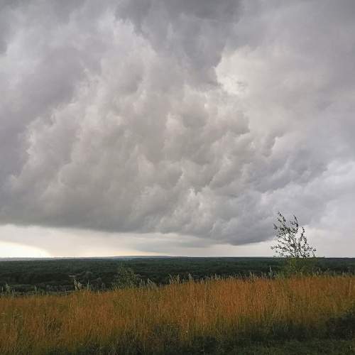 Photo #8191571