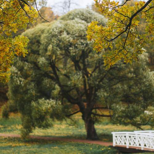 Photo #8191914