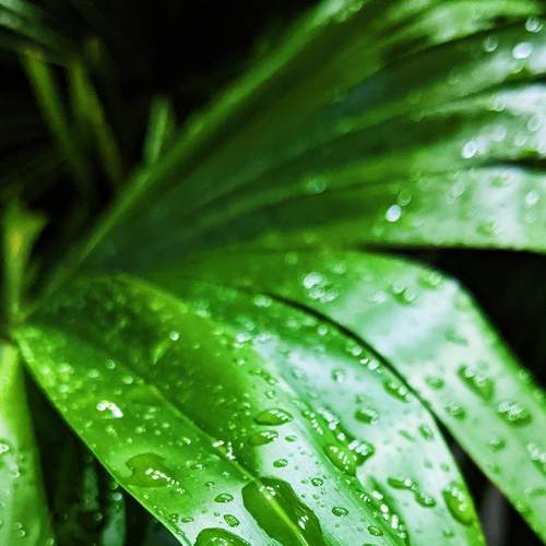Photo #8192058