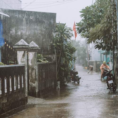 Photo #8192060