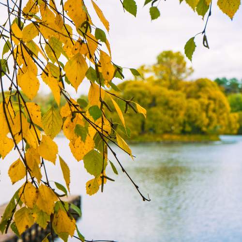 Photo #8192204