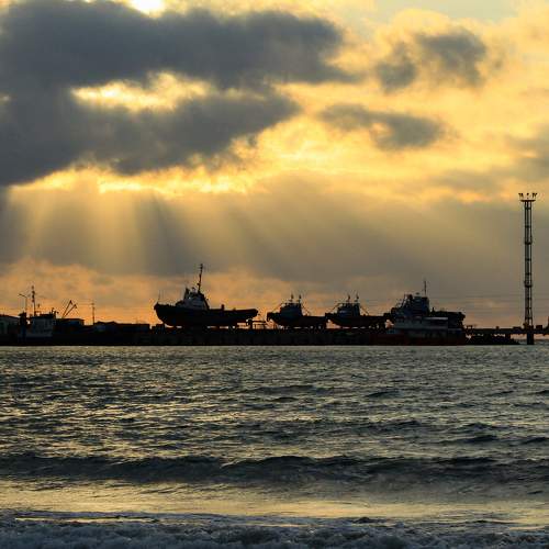 Photo #8192518