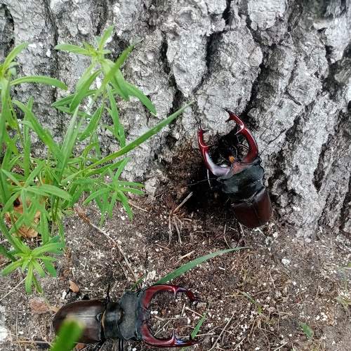Photo #8192633