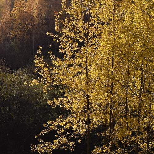 Photo #8192683