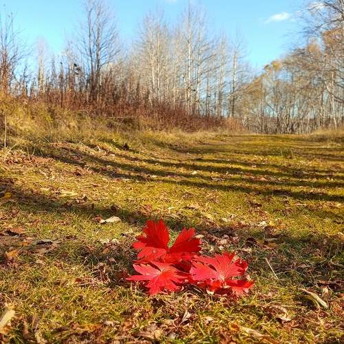 Photo #8192828