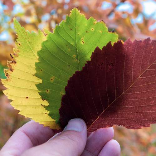 Photo #8192990