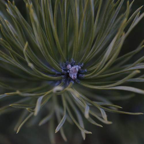 Photo #8193056