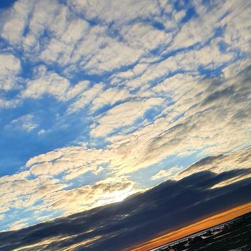 Photo #8193152