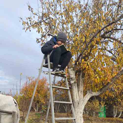 Photo #8193312