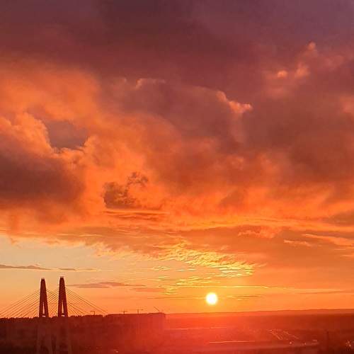 Photo #8193355