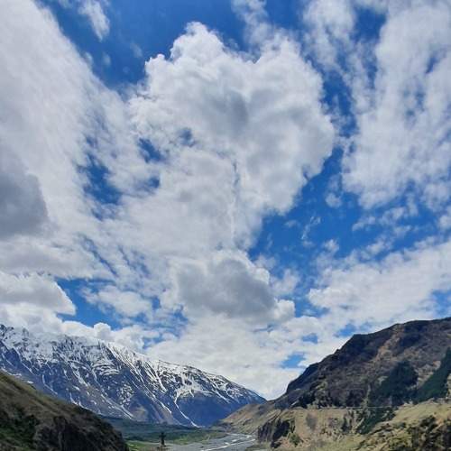 Photo #8193491