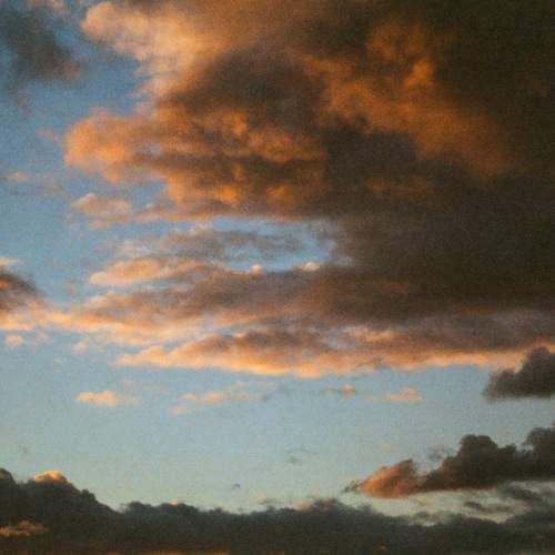 Photo #8193546