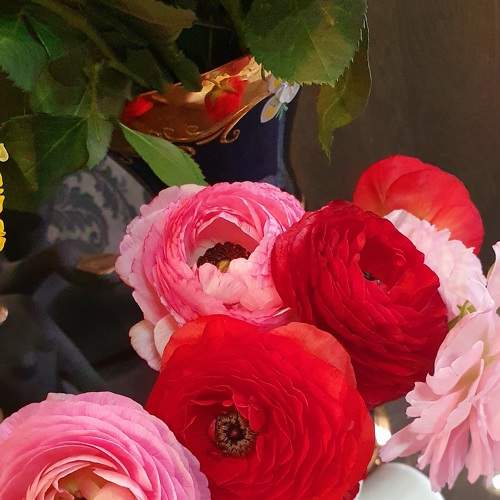 Photo #8193626