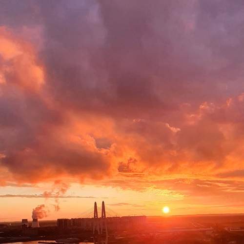 Photo #8193634
