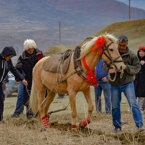 Photo #8194026