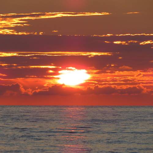 Photo #8194029