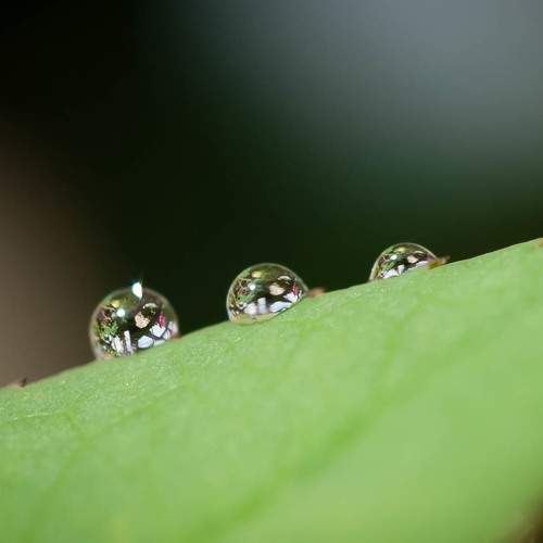 Photo #8194397