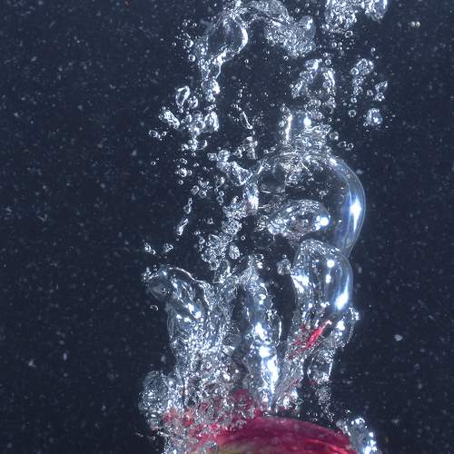 Photo #8194520