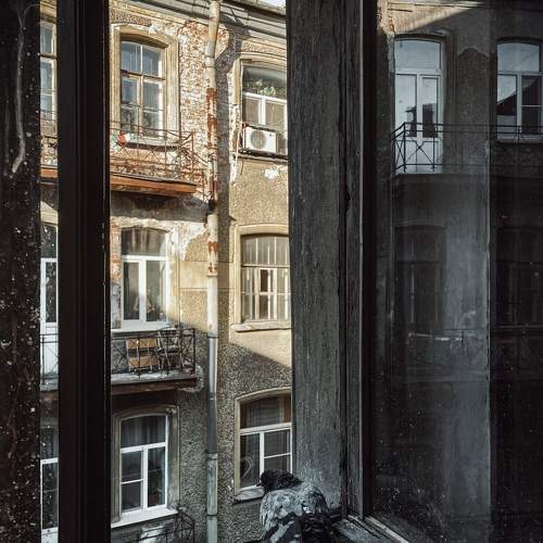 Photo #8194914