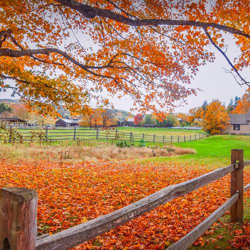 Autumn landscape