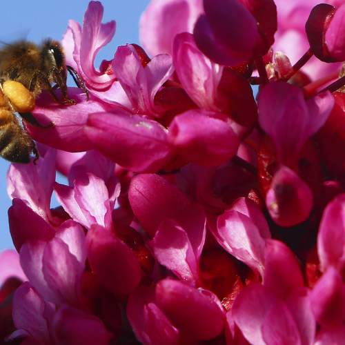 Photo #8195188
