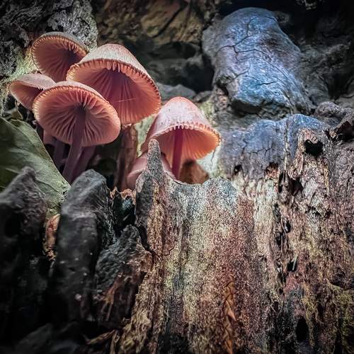 Photo #8195204