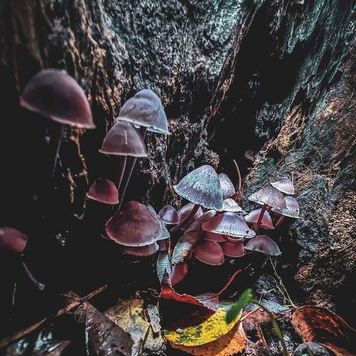 Photo #8195205