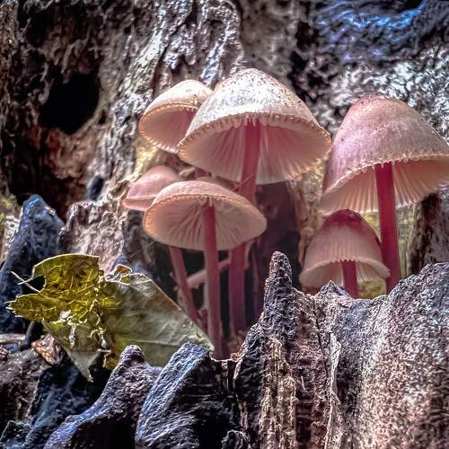 Photo #8195207
