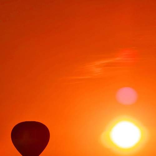 Photo #8195714