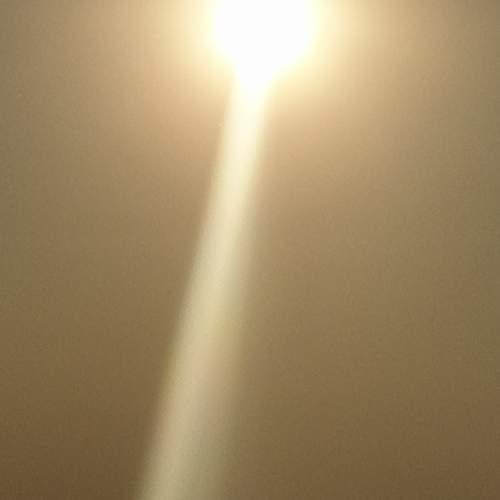 Photo #8195845
