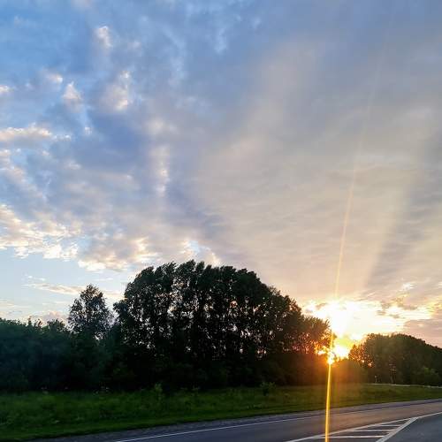 Photo #8195847
