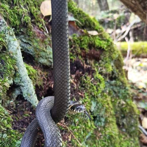 Photo #8195930