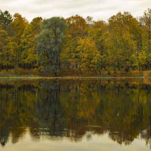 Photo #8196698