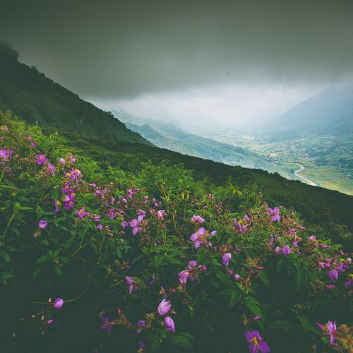 Photo #8196794