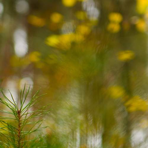 Photo #8196948