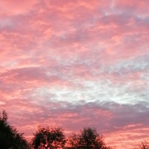 Photo #8197129