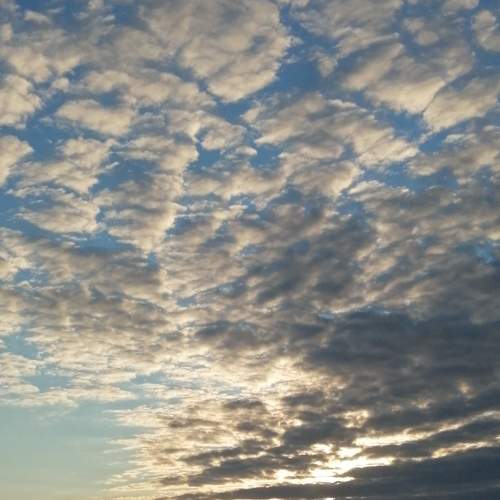 Photo #8197130